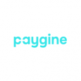 Paygine